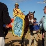 At the Haskell, a hometown horse and a “Hollywood story”