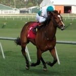Va-bred Valid takes G3 Skip Away
