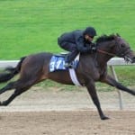 Dale Romans earns $50k Preakness weekend bonus