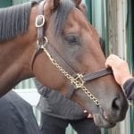 Preakness Moments: Scott Wykoff