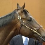 Big Pick 6 carryover to greet Pimlico bettors