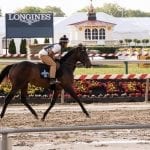 Solid fields set to contest Black-Eyed Susan, Pimlico Special