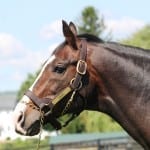 Schoenthal hoping Sonny Inspired delivers on Maryland’s “best day”