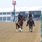 Preakness profiles: Exaggerator
