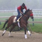 Mike Trombetta hopes two is his lucky Black-Eyed Susan number