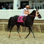 Trainer Abramson hits the ground running with back-to-back wins
