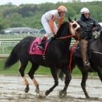 $20,000 in trainer bonuses offered at Timonium