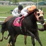 Pimlico to host September meet