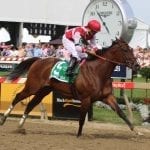 Ben’s Cat set for title defense in McKay Turf Sprint
