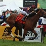 Hopes high for expanded Fasig-Tipton yearling sale