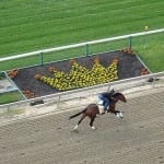 “Hot potato” Pimlico Plus bill moving towards passage