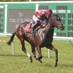 Virginia-bred Middleburg notches G3 Red Bank win