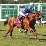 Bullets Fever remains undefeated after Pimlico allowance win