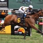 Kentucky to offer “racecourse manager” program