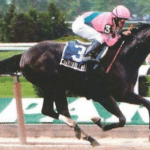 Do What I Say aims for hat trick in Stormy Blues