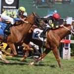 Two Notch Road, Queen Caroline log stakes wins