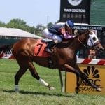 Two Notch Road, Queen Caroline log stakes wins