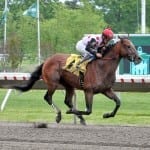 Exaggerator deepens Haskell field
