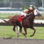 Pure Sensation scores in Parx Dash
