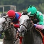 Suffused scratched from G3 Dick by Lasix error