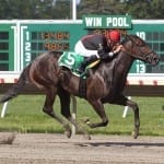 Blog: Four straight for Pool Winner