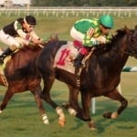 Ben’s Cat, Monster Sleeping top Laurel stakes noms