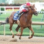 Vet in Suffused case fined, removed from Lasix duty