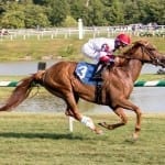 From the Spa: July 25 Midlantic-breds in Saratoga stakes