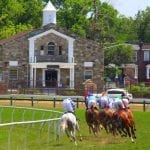 “Life-changing” Witty looks live in McKay Turf Sprint