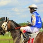 Gun Runner arrives for Haskell date