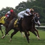I’m a Chatterbox survives objection in Del Cap win