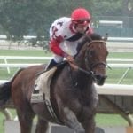 Haskell result a tale of two plans