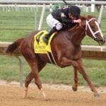 Current Belmont Stakes odds