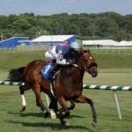 Sacco leads first wave of trainers to Monmouth Park for 2018
