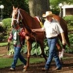 Admirals War Chest seeks Classic repeat