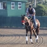 Six runners to contest Haskell