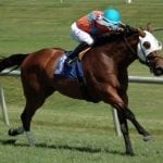 Exchanging Secrets guns for first stakes win
