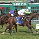 Undulated, Holiday Bonus impress in maiden scores