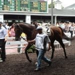 Chris Griffin: Hoops, hot rods, and horses