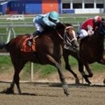 Goodonehoney has final breeze before Black-Eyed Susan