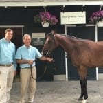 Stellar Wind blows to top of Top Midlantic-bred Poll