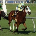 Lovable Lady runs down Jameela upset