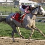 Monmouth Park to continue sports wagering fight