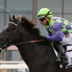 Old Harbor sets Del Park turf record