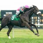 September 11 racing highlights: Tammy the Torpedo fires
