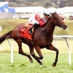 Blacktype takes Turf Cup in record time