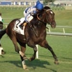 Report: Green Gratto retired, again