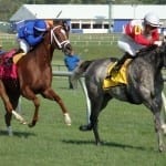 Mosler posts Laurel Dash win; Ben’s Cat fifth