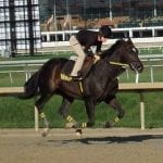 Toledo gets a hat trick – and one