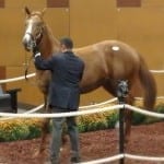 October 5 racing highlights: Indulgent graduates